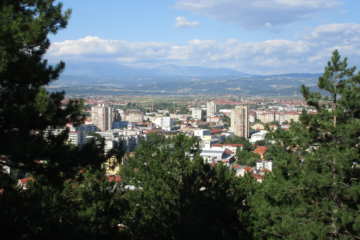 Pogled kroz borove na stambene zgrade Leskovca i planine na horizontu