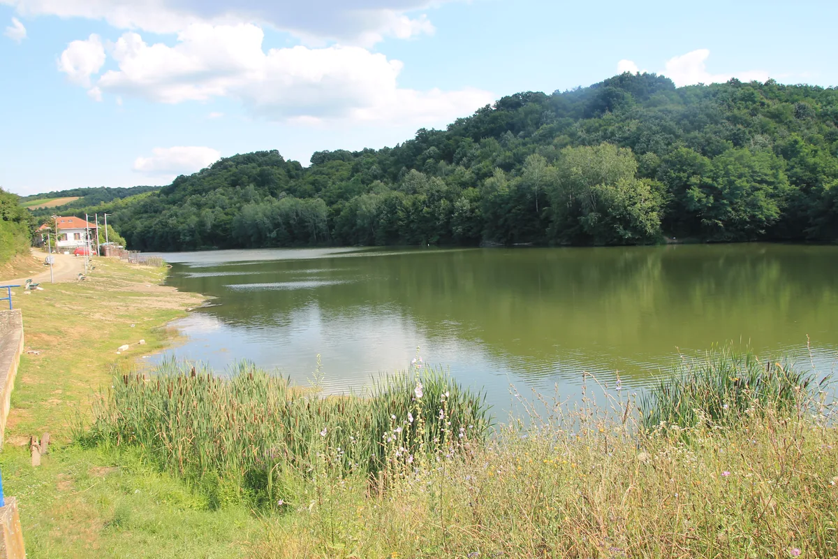 Jezero u Barajevu sa trskom u prvom planu i šumovitim brdom iza